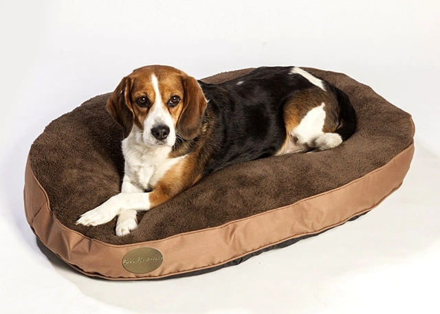 Hot Sale Brand and Massage Dog Baskets Healthy Soft Bed